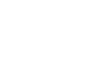 Logos Aliados B&N Peru Business Fest.005