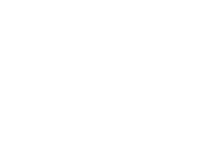 Logos Aliados B&N Peru Business Fest.007