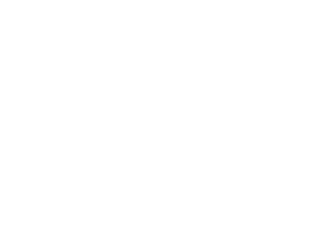 Logos Aliados B&N Peru Business Fest.008